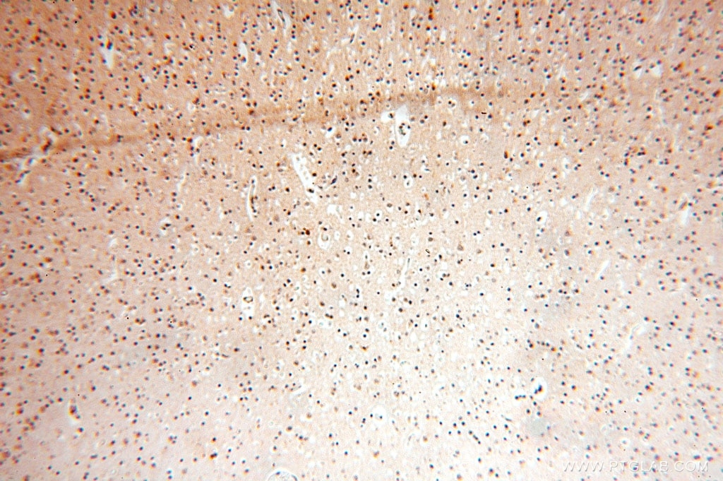 Computer architecture software architecture pdf free playboy magazine philippines pdf