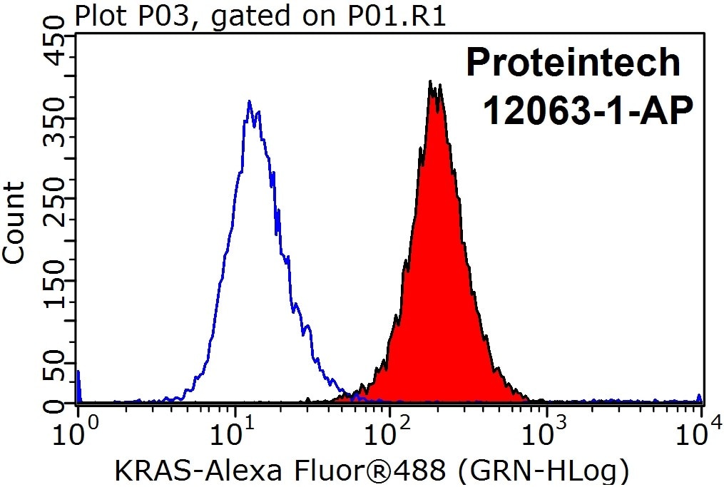 http://www.ptglab.com/Products/Pictures/KRAS-Antibody-12063-1-AP-FC-27303.jpg