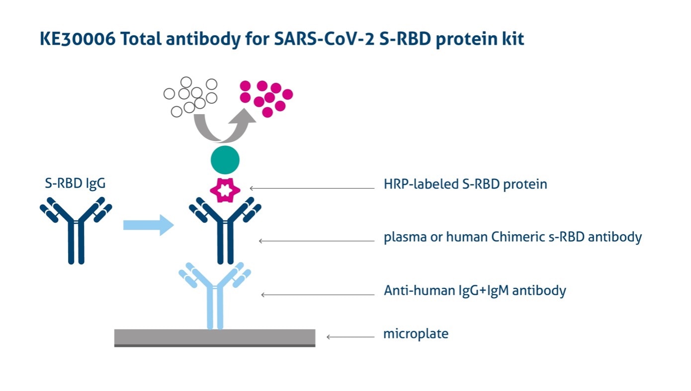 Graphic depicting ELISA kit for detecting total antibodies against SARS-CoV-2-S-RBD protein