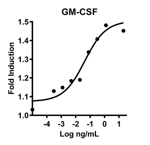 GM-CSFの活性評価グラフ