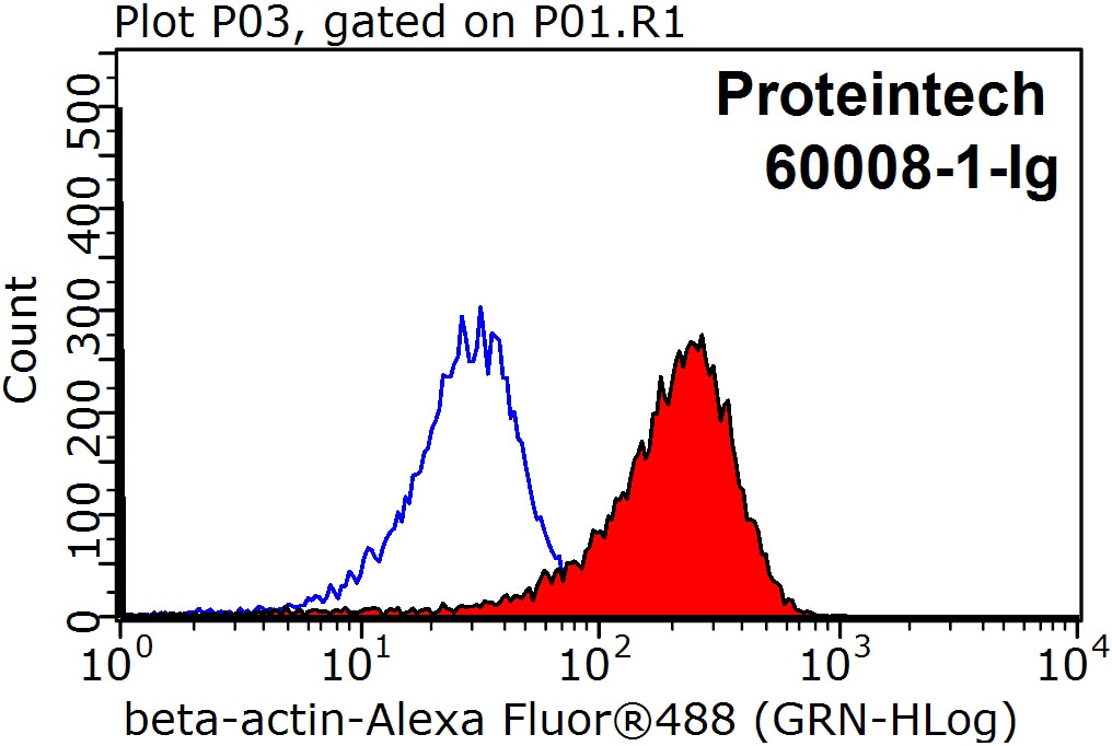Beta Actin Antibody FC HepG2 cells 60008-1-Ig