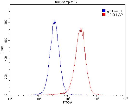 HepG2 cells were stained with 0.2ug GABARAPL1-Specific antibody (ATG8L, 11010-1-AP, red) and control antibody (blue). Cells were fixed with 4% PFA blocked with 3% BSA. Alexa Fluor 488-congugated AffiniPure Goat Anti-Rabbit IgG(H+L)