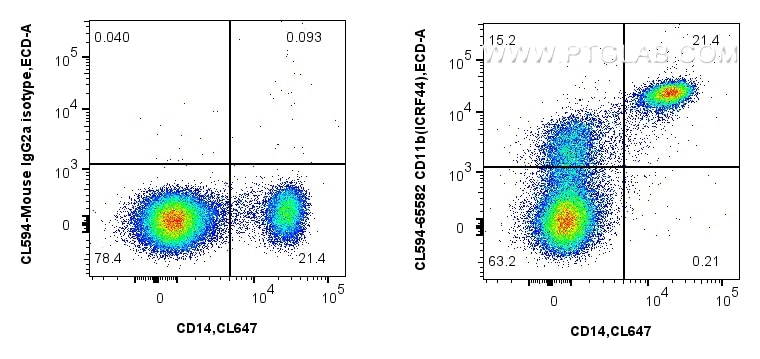 CL594-65582