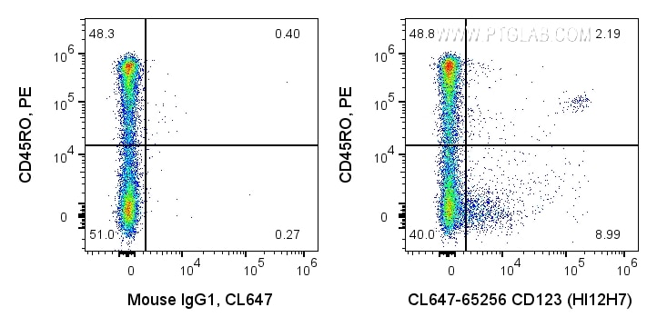 CL647-65256