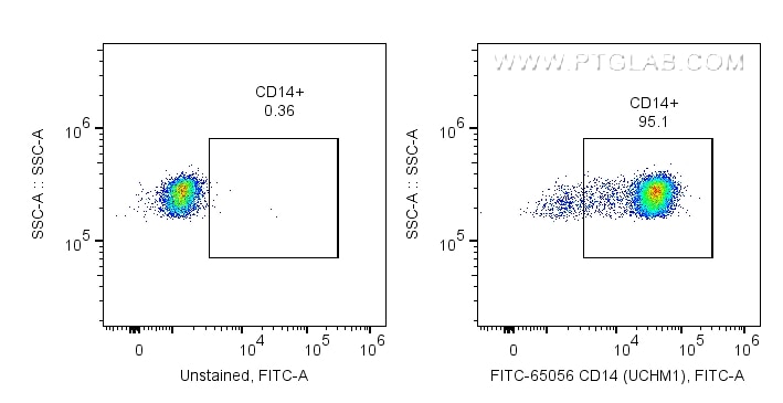 FITC-65056