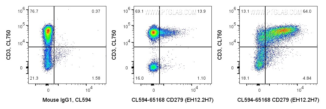 CL594-65168