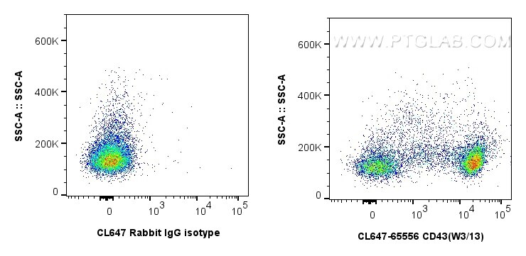 CL647-65556