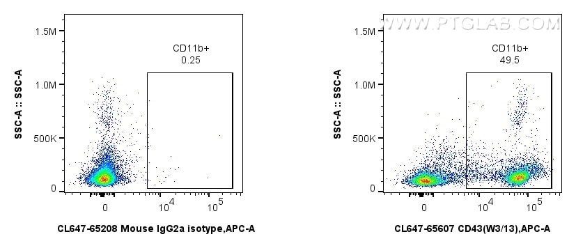CL647-65607