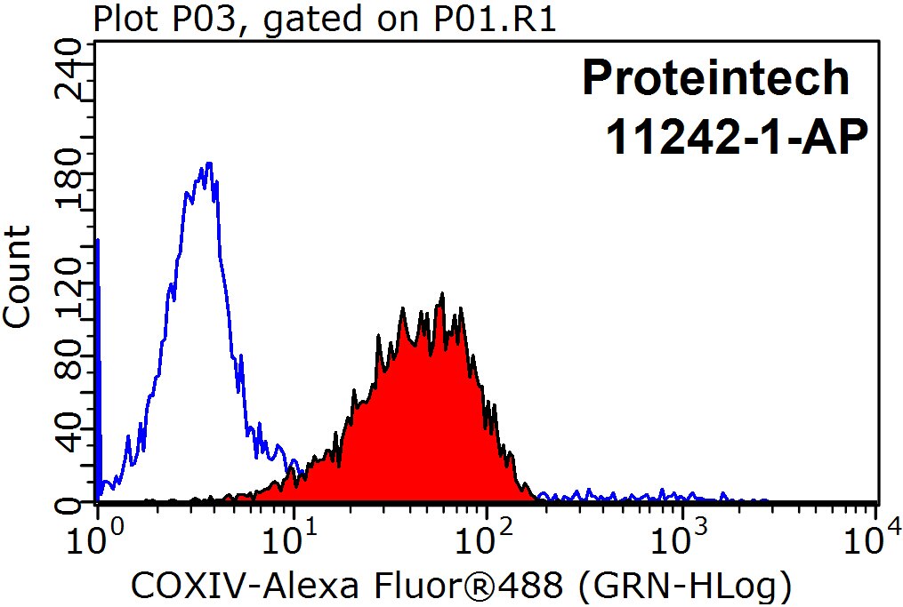 COX4I1-Antibody-11242-1-AP-FC-36012.jpg