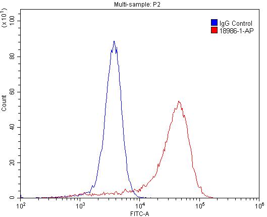 EGFR-Specific Antibody FC A431 cells 18986-1-AP