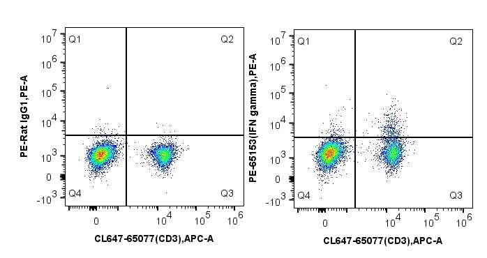 IFN gamma Antibody FC PMA+Ionomycin+protein transport inhibitors for 4h mouse splenocytes  PE-65153