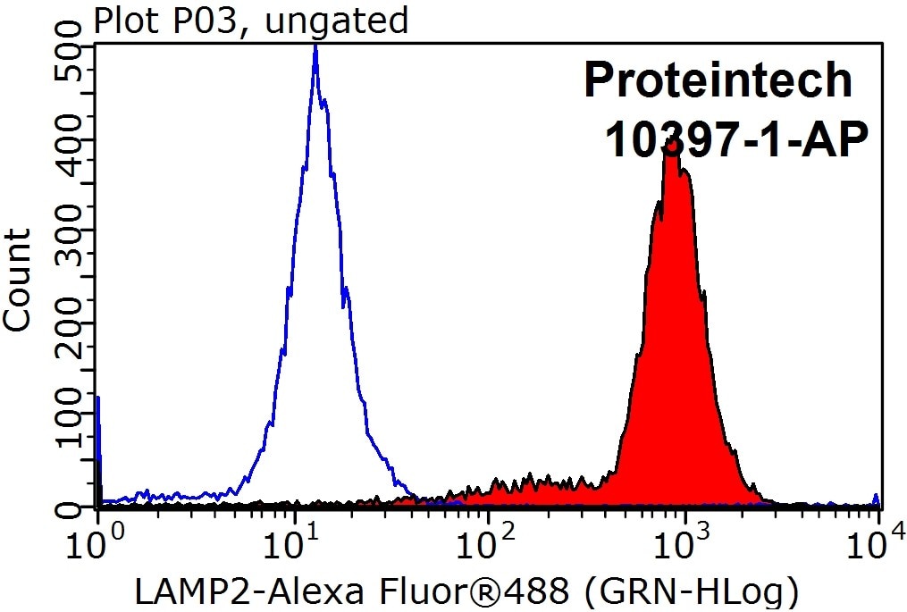 LAMP2-Antibody-10397-1-AP-FC-25645.jpg