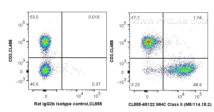CL555-65122