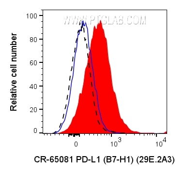 CR-65081