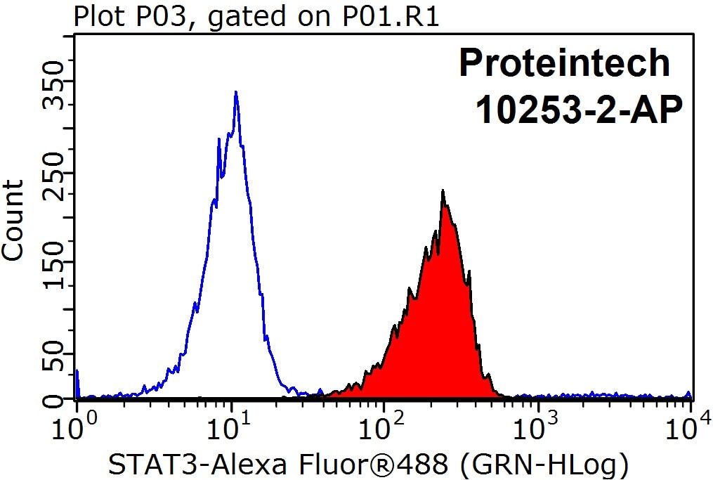 STAT3 Antibody FC HeLa cells 10253-2-AP