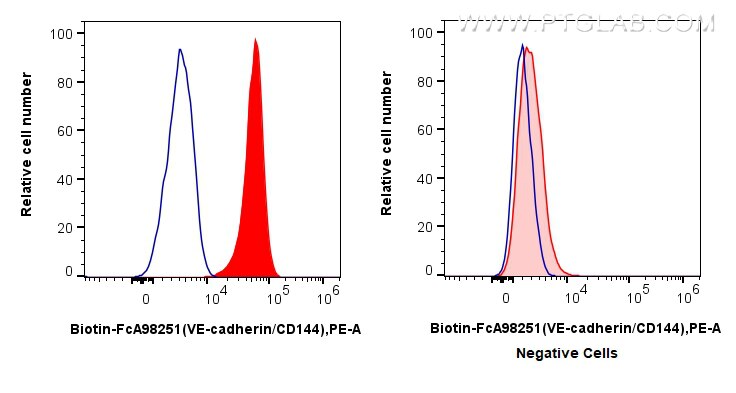 BIOTIN-FCA98251