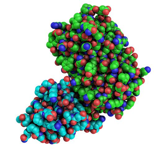 Structure of GFP-VHH.