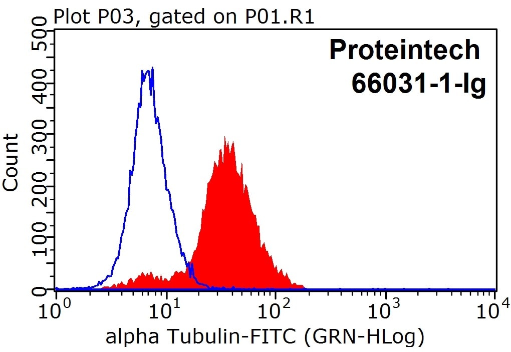 Alpha Tubulin Antibody FC HeLa cells 66031-1-Ig