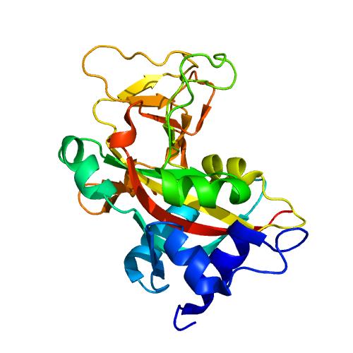 Structure of PARP1.