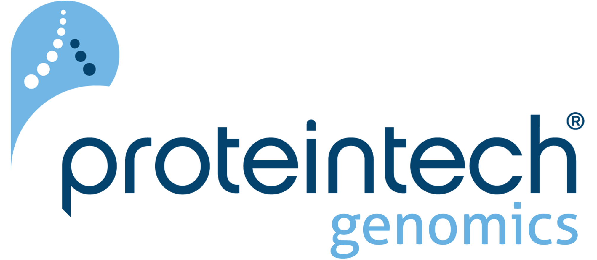 GSDMD antibody (66387-1-Ig) | Proteintech