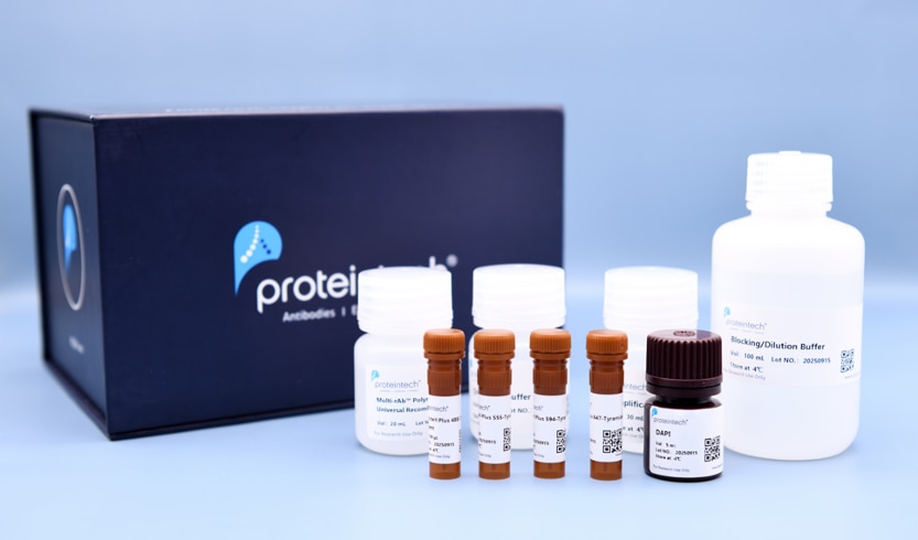 product image of CProteintech TSA kits