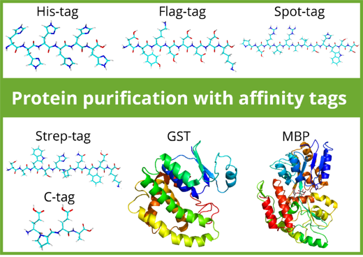 protein purification with affinity tags
