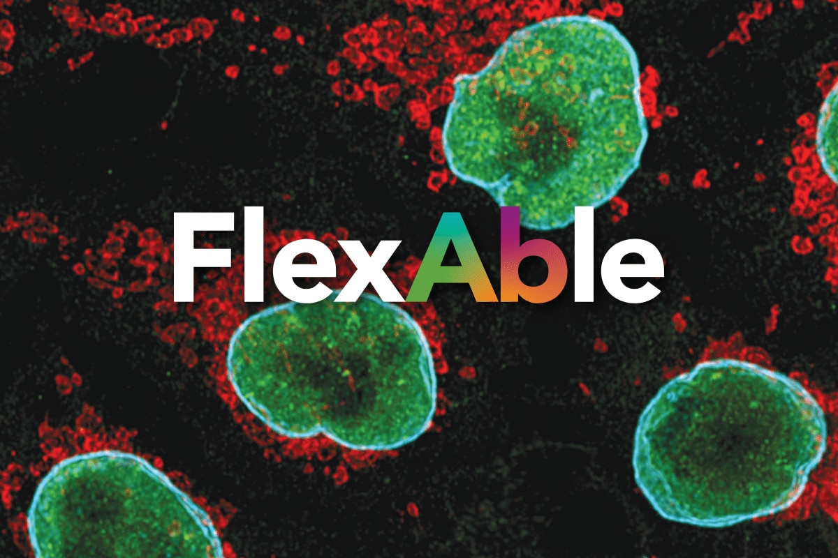 FlexAble logo over image of IF analysis of HeLa cells with anti-TDP43 FlexAble CoraLite® 488 kit (green), anti-Tom20 + CoraLite Plus 550 Kit (red), anti-Lamin B1 + FlexAble CoraLite Plus 650 Kit (cyan)