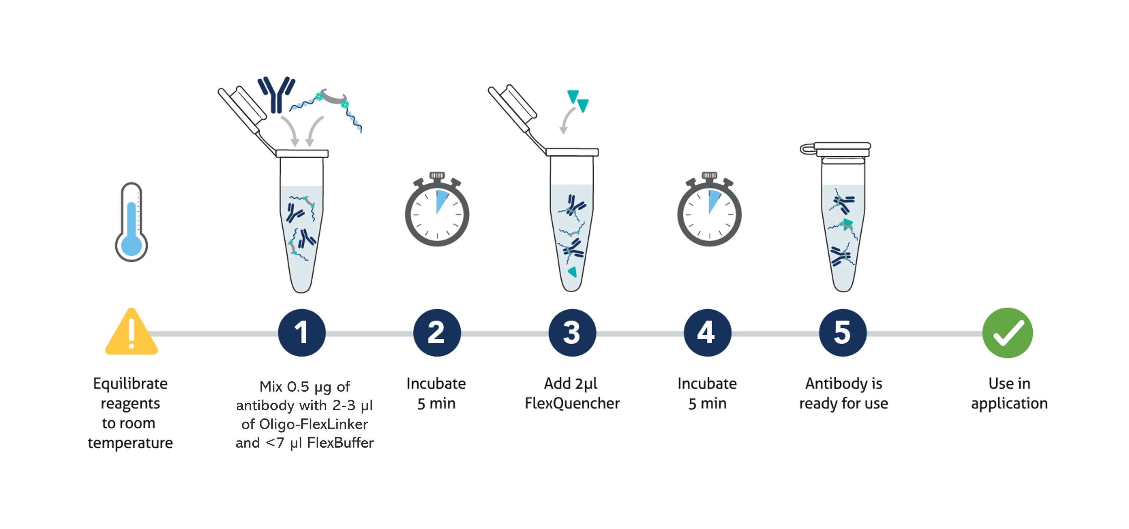 Schematic workflow diagram showing the FlexAble Oligo-Ready conjugation protocol, from equilibrating reagents, mixing antibody with Oligo-FlexLinker and FlexBuffer, two 5‑minute incubations with FlexQuencher addition, to the final antibody&ndash;oligo conjugate ready for use.