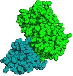 gfp_GBP_complex_cartoon