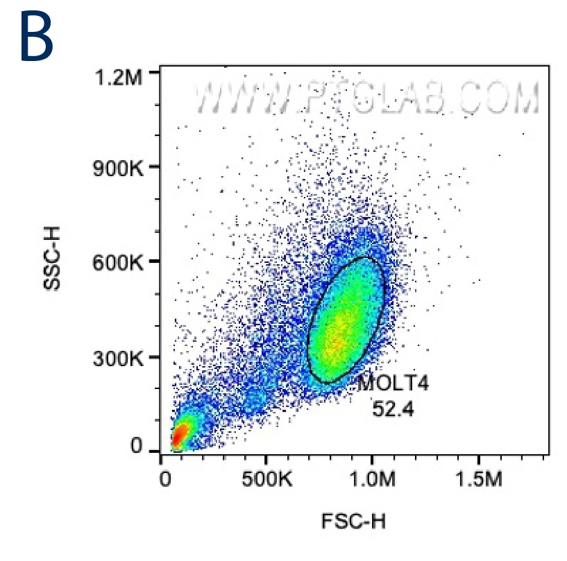 FSC/SSC plot of PBMCs with gating for lymphocytes based on size and granularity.