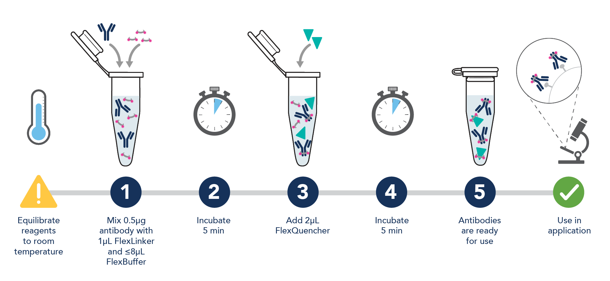 Step-by-step workflow of Proteintech's FlexAble antibody labeling kit shows 30 seconds hands-on time and ready-to-use in less than 10 minutes