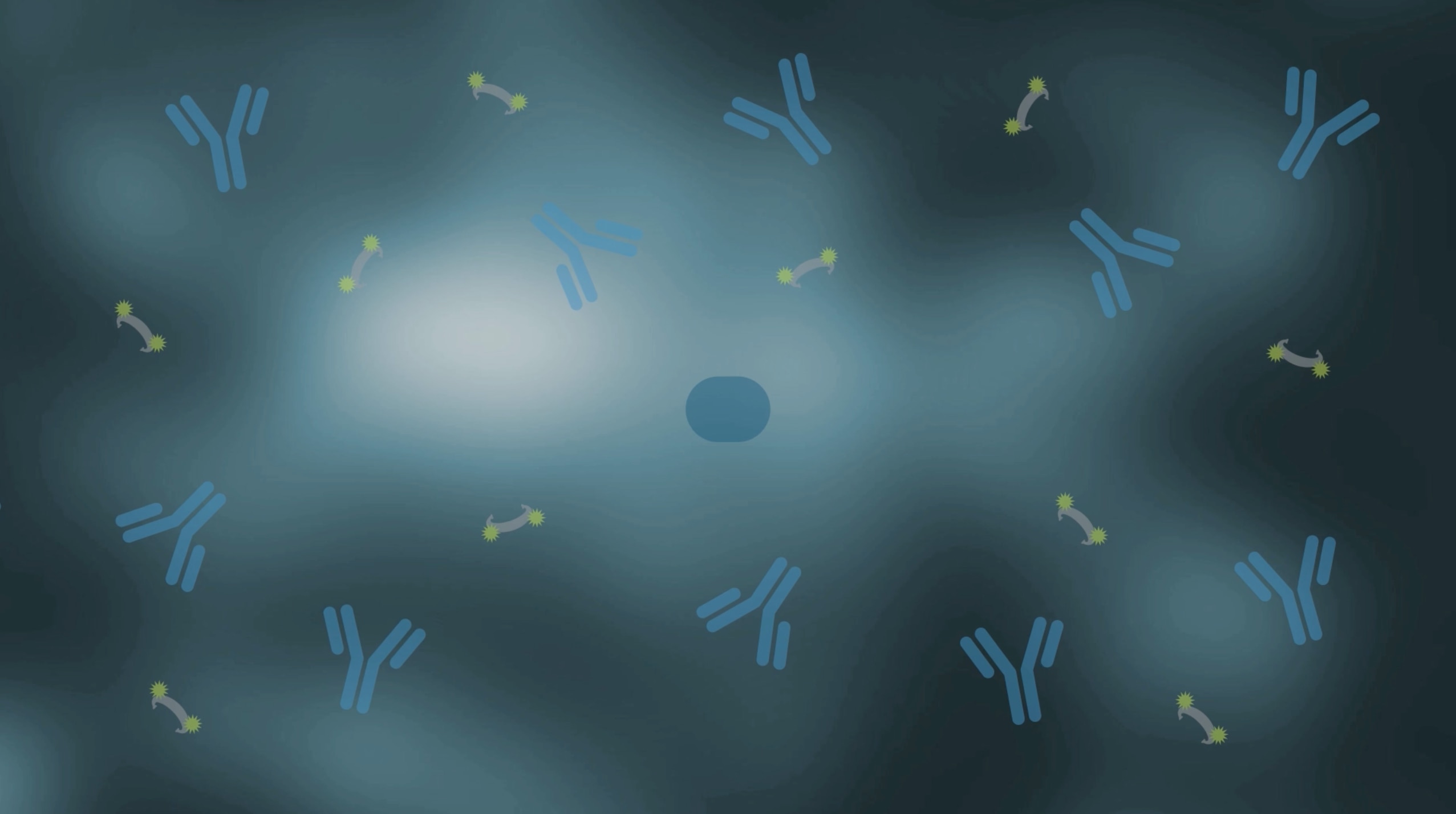 FlexLinker binds tightly to the antibody within minutes and once bound does not release from the antibody