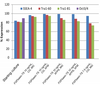 Pluripotency markers in hESC cultures maintained with thermostable FGF basic, in the starter culture and after 10 passages