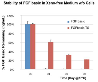 FGFbasic-TSの安定性評価グラフ