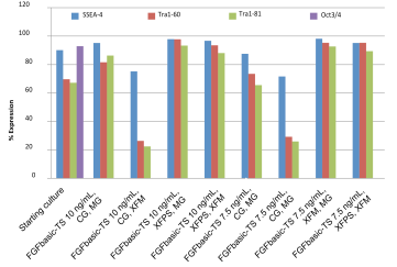 Pluripotency markers in iPSC cultures maintained with thermostable FGF basic, in the starter culture and after 10 passages