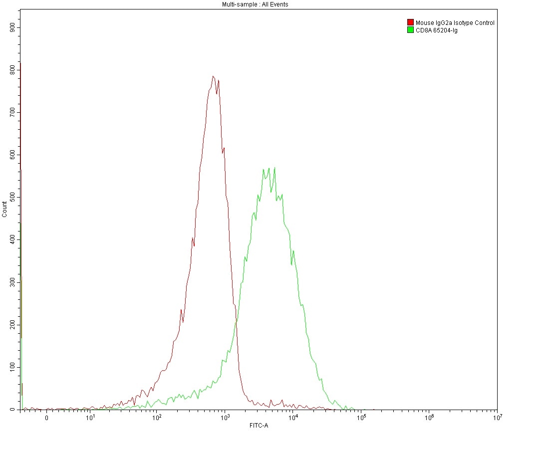 Flow cytometry (FC) analysis of 1X10^6 MOLT4 cells surface stained with 0.2 ug anti-Human CD8 antibody (65204-1-Ig, Clone: UCHT4) and Mouse IgG2a Isotype Control antibody (66360-3-Ig).  Multi-rAb CoraLite® Plus 488-Goat Anti-Mouse Recombinant Secondary Antibody (H+L) (RGAM002) was used for detection. 