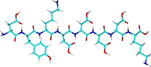 Structure of the Flag-tag octapeptide