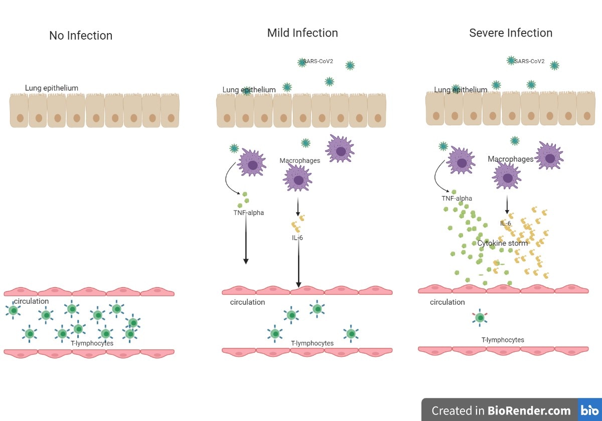 importance of serial dilution research importance of serial dilution research