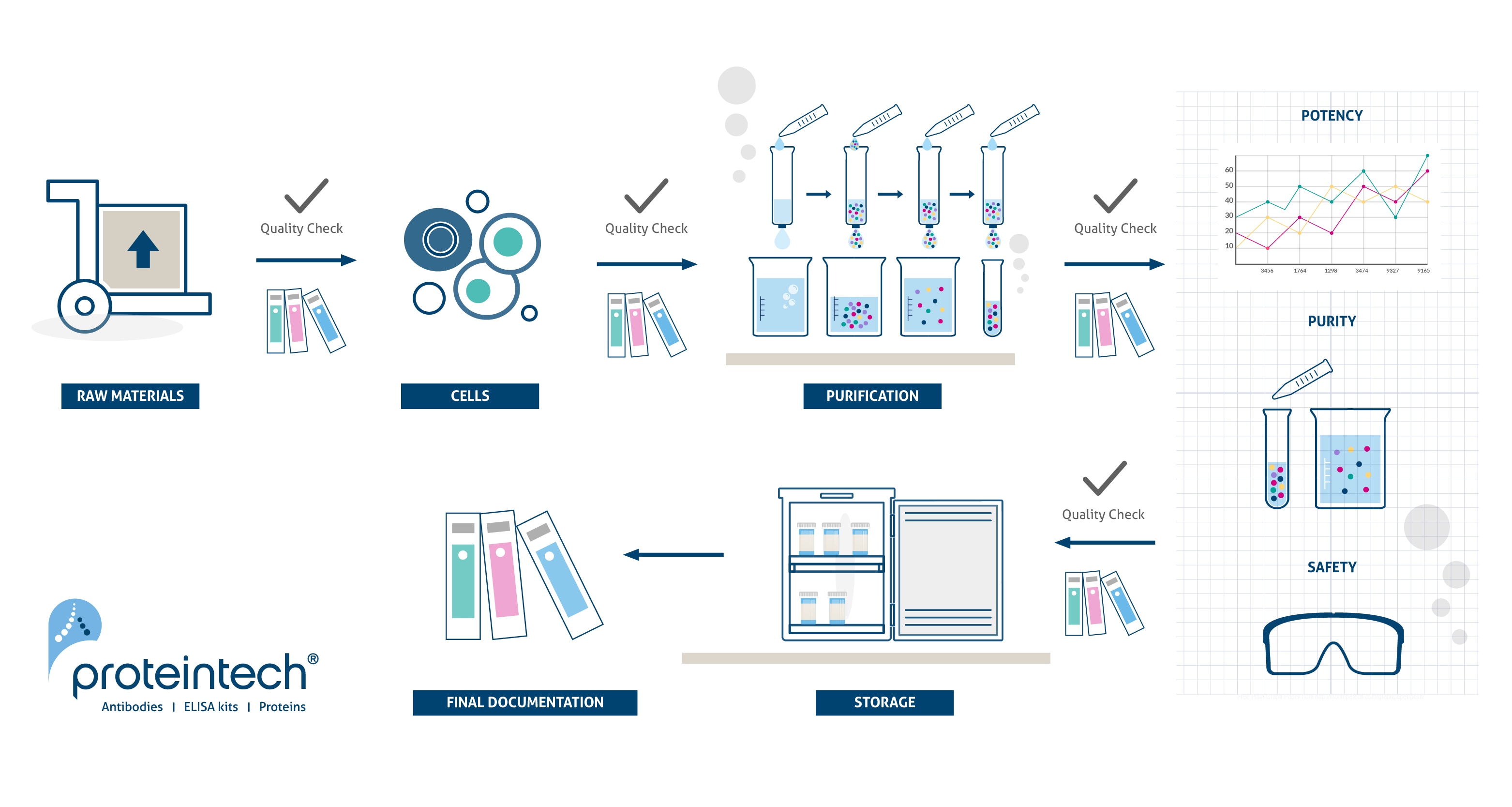 Proteintech cGMP manufacturing process diagram