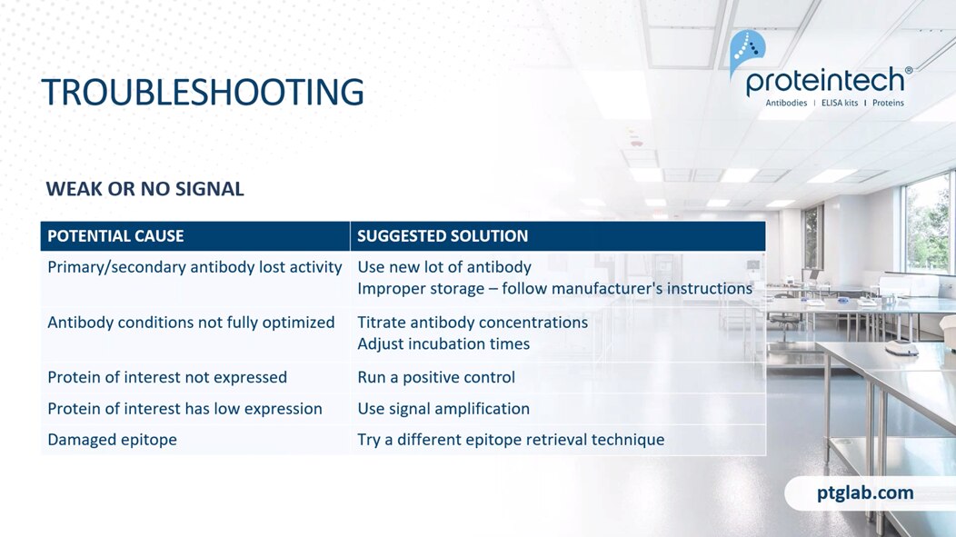 Immunohistochemistry weak / no signal