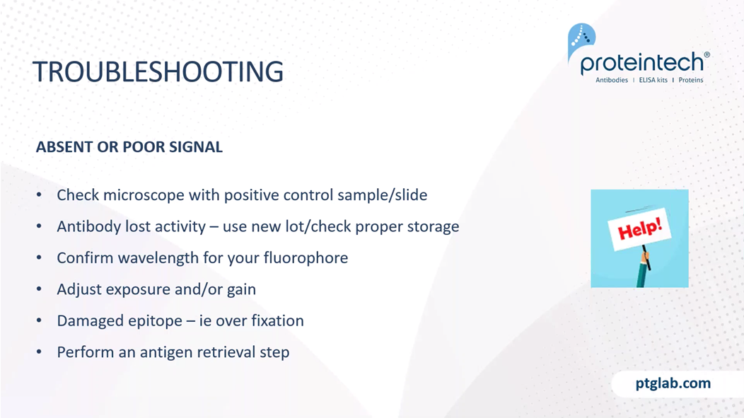 how to fix absent or poor signal on IF experiments