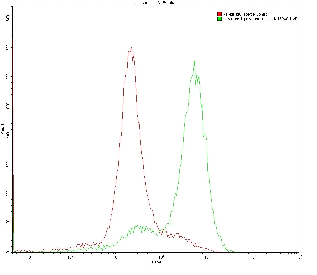 Flow cytometry (FC) analysis of 1X10^6 MOLT4 cells surface stained with 0.2 ug anti-HLA class I rabbit polyclonal antibody (15240-1-AP) and Rabbit IgG Isotype Control antibody (30000-0-AP). Multi-rAb CoraLite® Plus 488-Goat Anti-Rabbit Recombinant Secondary Antibody (H+L) (RGAR002) was used for detection.