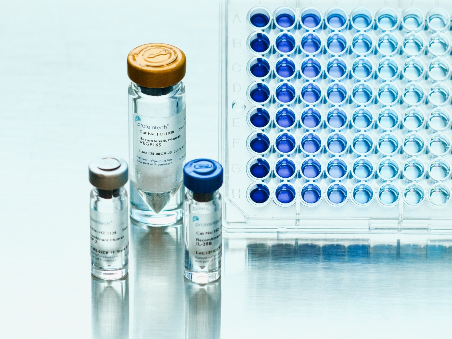 Humankine recombinant proteins, cytokines and growth factors vials and plate.