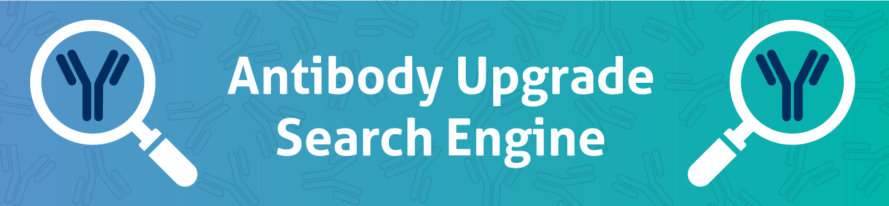 Proteintech antibody upgrade search engine