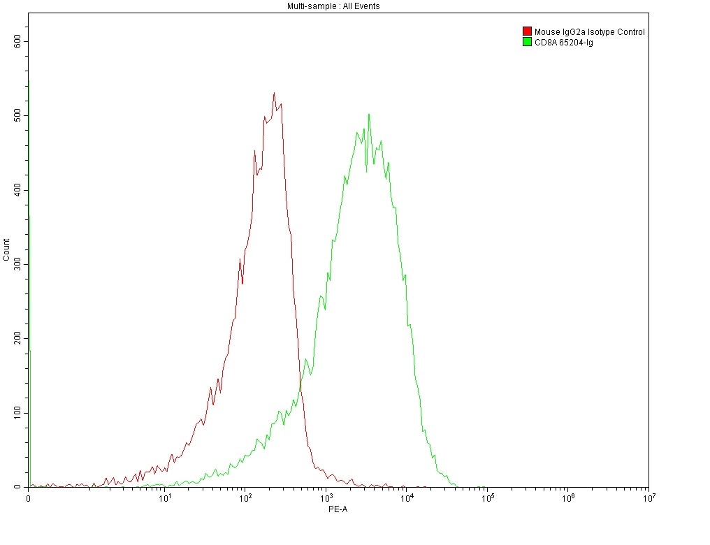 Flow cytometry (FC) analysis of 1X10^6 MOLT4 cells surface stained with 0.2 ug anti-Human CD8 antibody (65204-1-Ig, Clone: UCHT4) and Mouse IgG2a Isotype Control antibody (66360-3-Ig). Multi-rAb CoraLite® Plus 555-Goat Anti-Mouse Recombinant Secondary Antibody (H+L) (RGAM003) was used for detection.