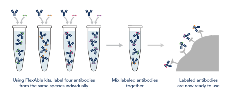 FlexAble Workflow Single Species