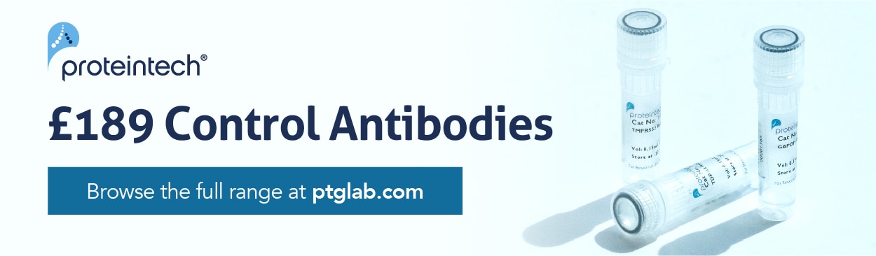 antibodies