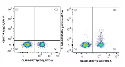 IFN gamma, flow cytometry, 488, IgG1