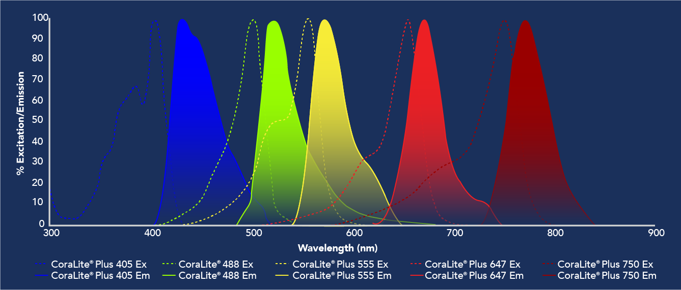 Proteintech's CoraLite Plus excitation and emission