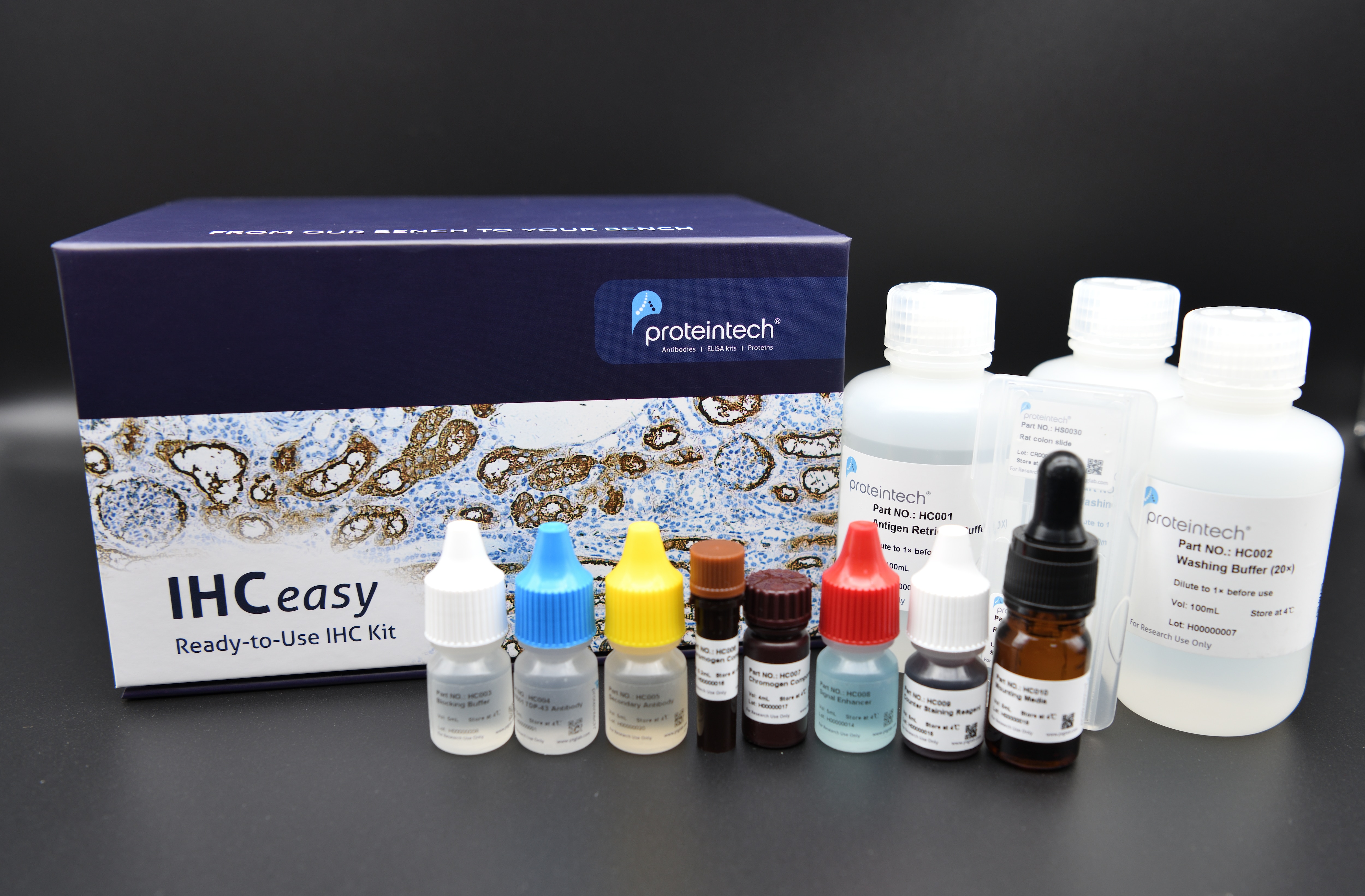 Proteintech IHCeasy kit product image
